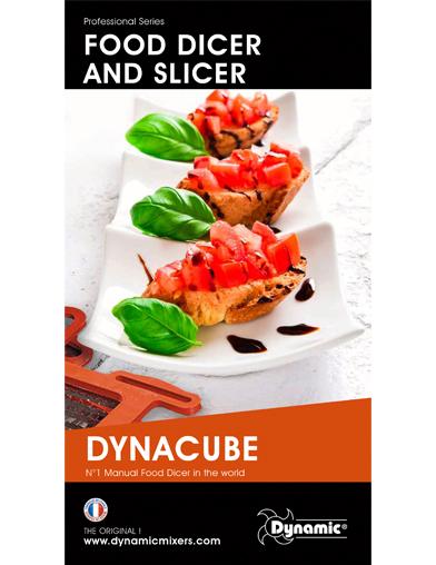 Dynacube Flyer