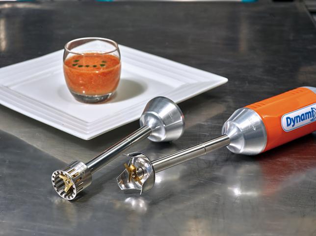 dynamix stick blender mx050