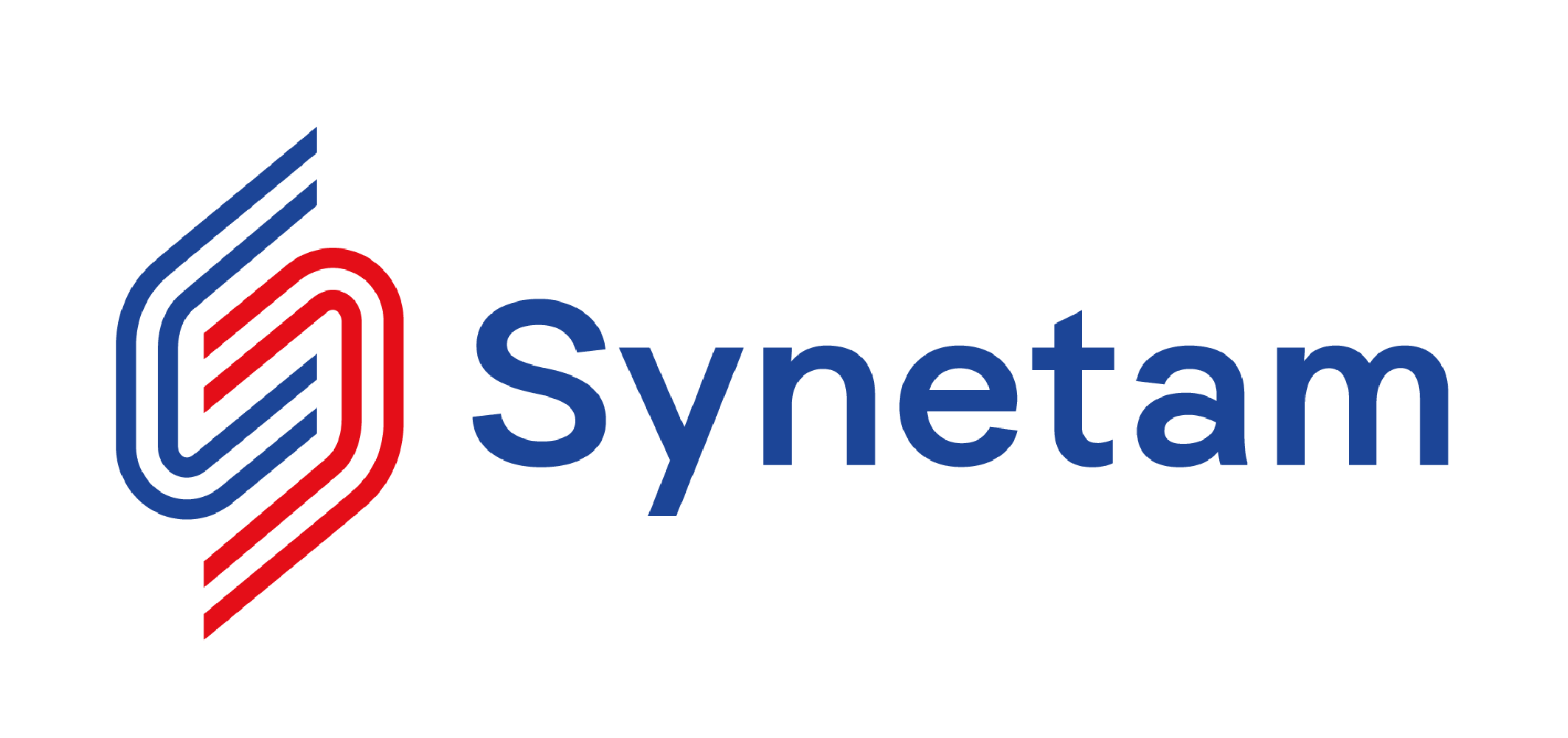 Synetam